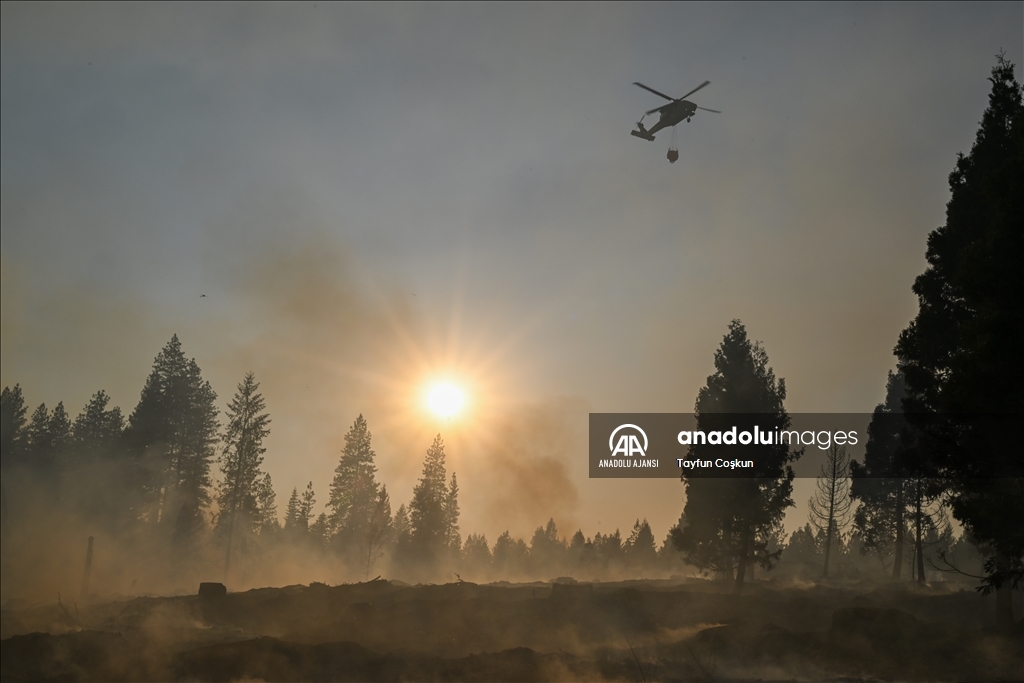 ABD'de 94 farklı bölgede çıkan orman yangınları sürüyor