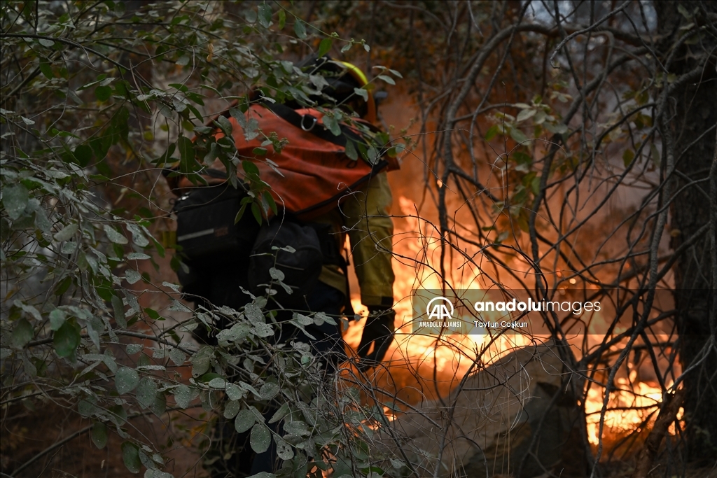 ABD'de 94 farklı bölgede çıkan orman yangınları sürüyor