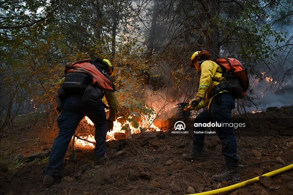 ABD'de 94 farklı bölgede çıkan orman yangınları sürüyor