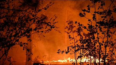ABD'de 94 farklı bölgede çıkan orman yangınları sürüyor