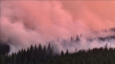 Kaliforniya'nın Chico kentinde çıkan orman yangınları devam ediyor