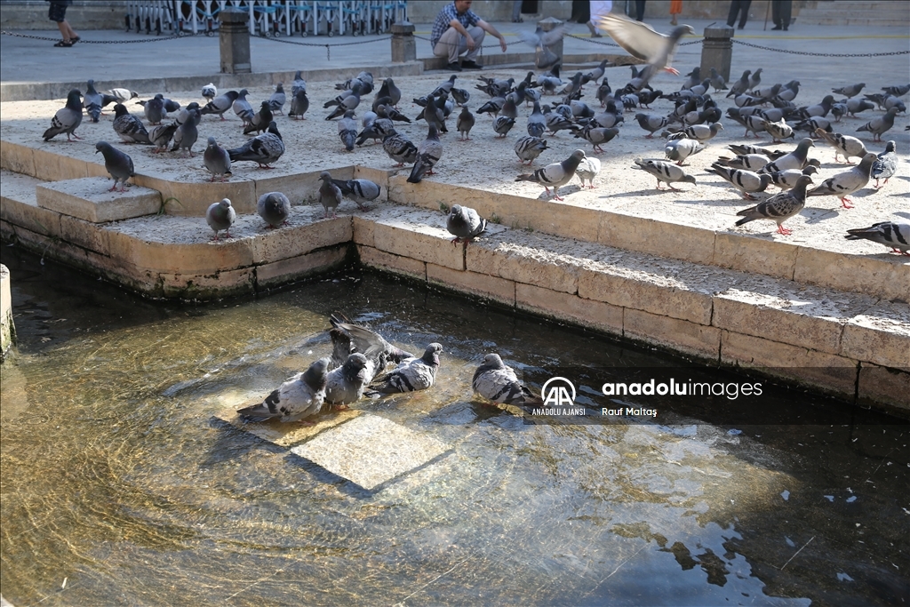 Şanlıurfa'da sıcak hava 