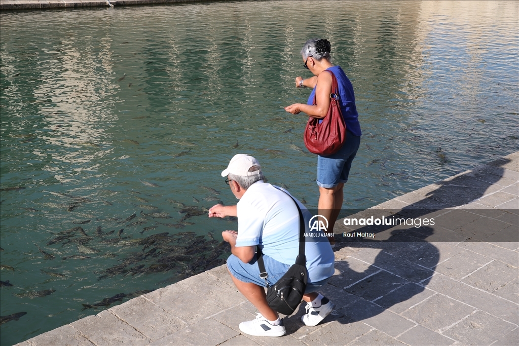Şanlıurfa'da sıcak hava 