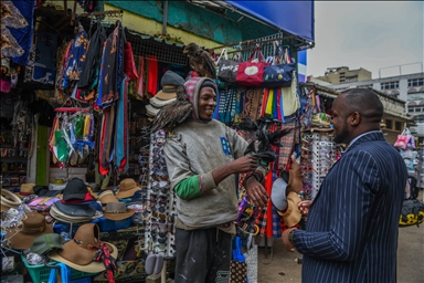 26-year-old Magutha earns money with his domesticated raptors in Kenya