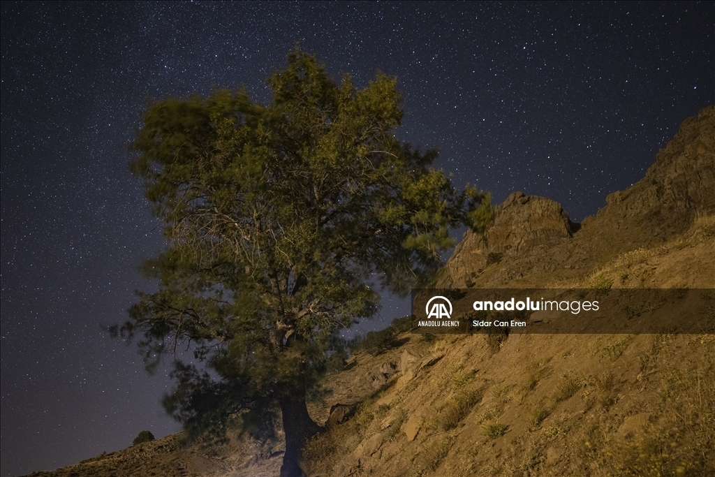 Starry night in Turkiye's Tunceli