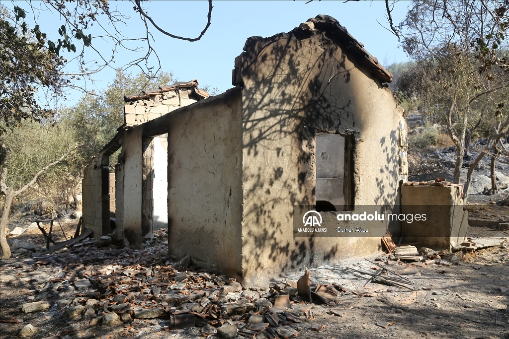 Muğla'nın Milas ilçesinde çıkan orman yangını kontrol altına alındı