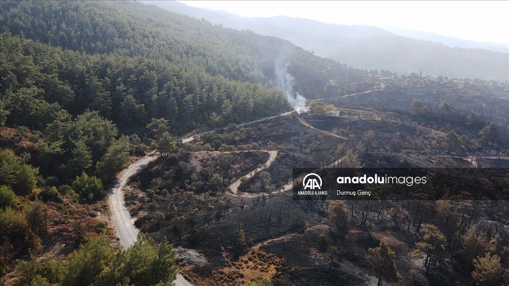 Muğla'nın Milas ilçesinde çıkan orman yangını  kontrol altına alındı