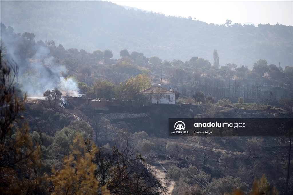 Muğla'nın Milas ilçesinde çıkan orman yangını kontrol altına alındı