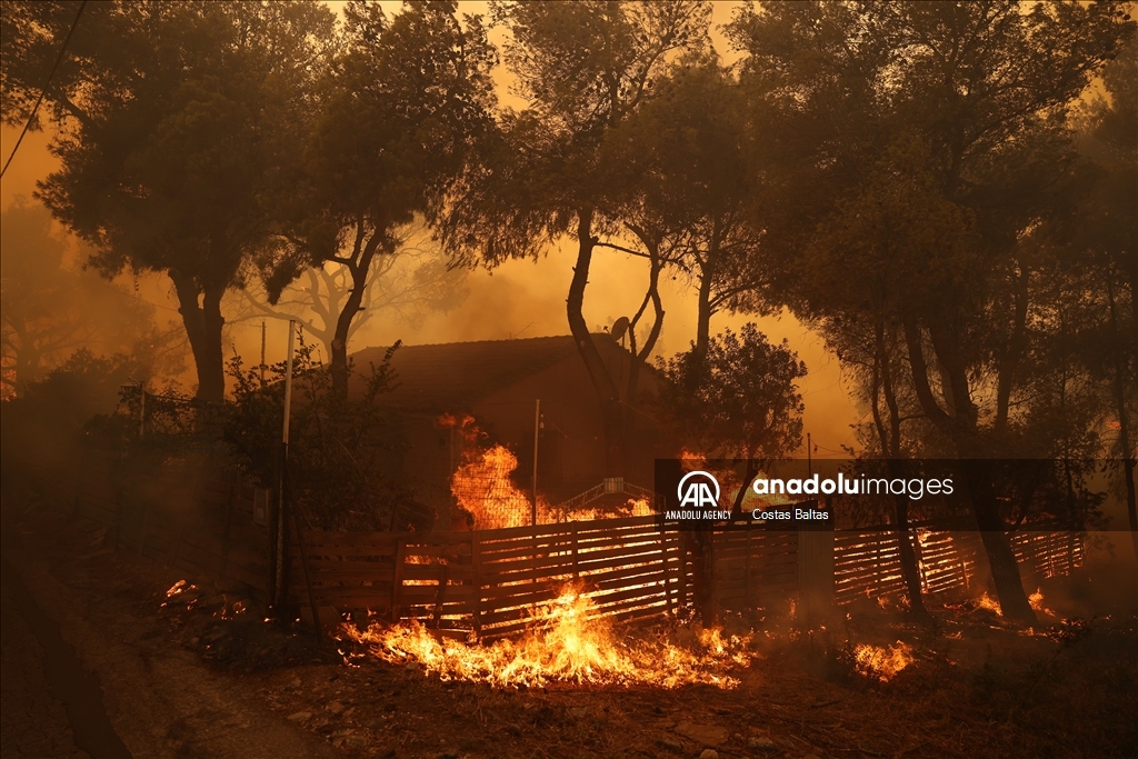 Wildfire in Greece's Athens