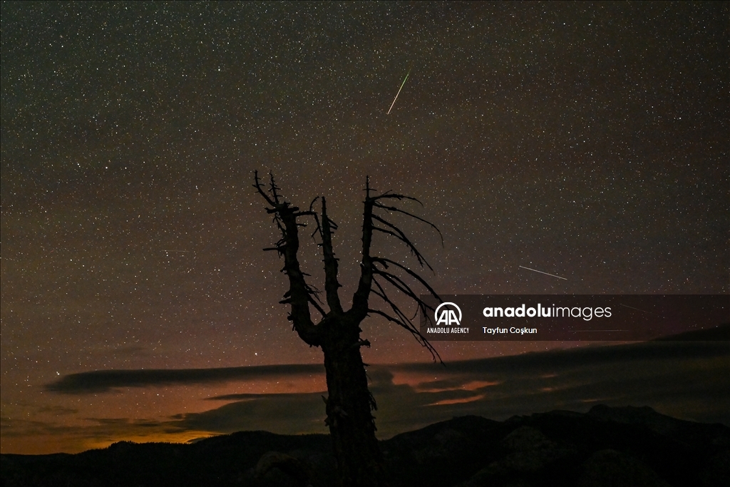 Perseid meteor showers captured in Yosemite National Park of California    