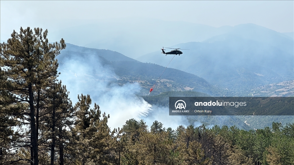 Karabük'te ormanlık alanda çıkan yangına müdahale ediliyor