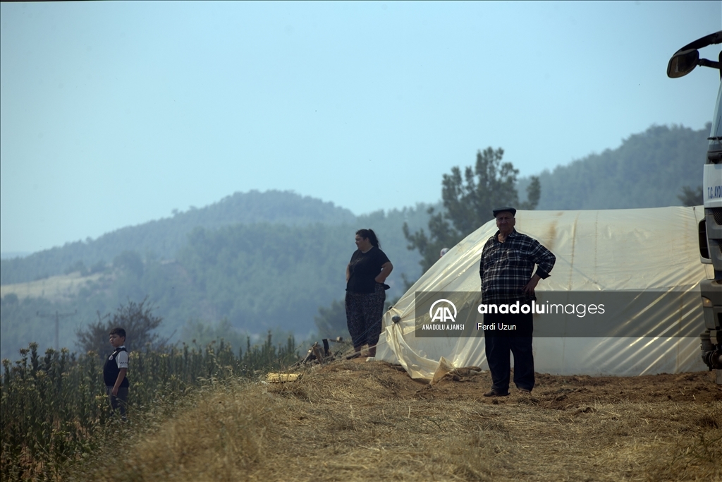 Aydın'daki orman yangınına havadan ve karadan müdahale sürüyor