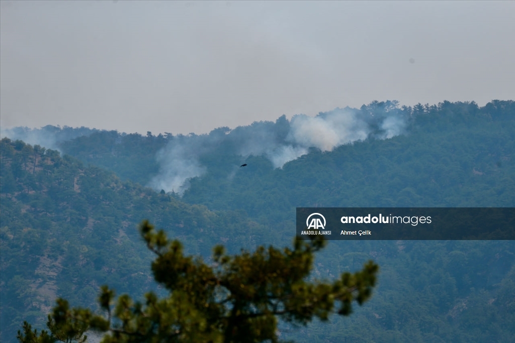 Bolu'da ormanlık alanda çıkan yangına müdahale ediliyor