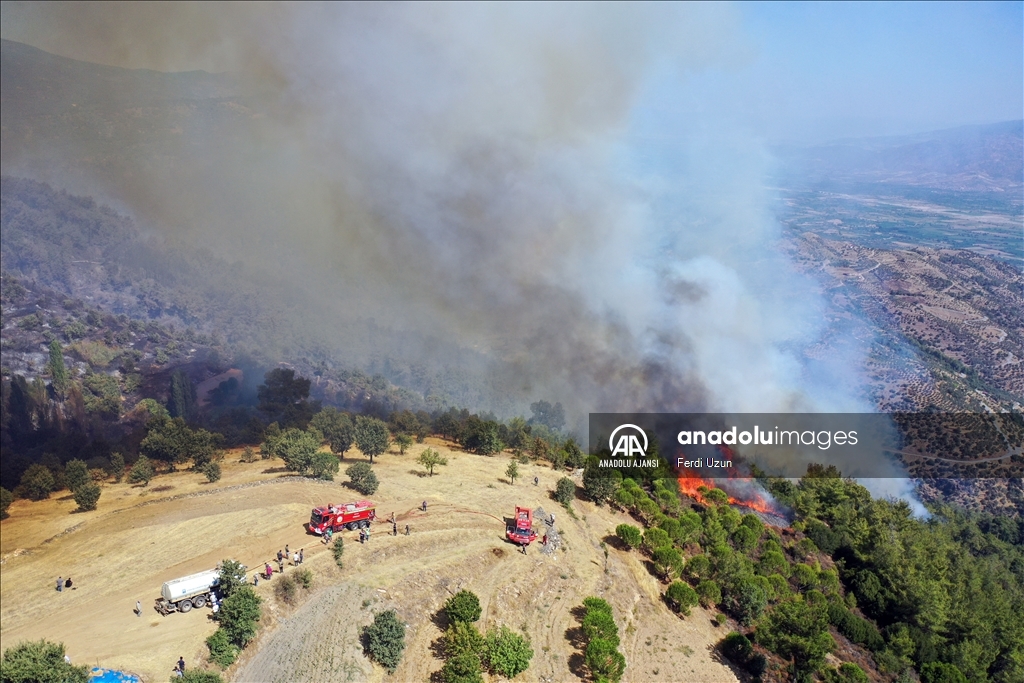 Aydın'daki orman yangınına havadan ve karadan müdahale sürüyor