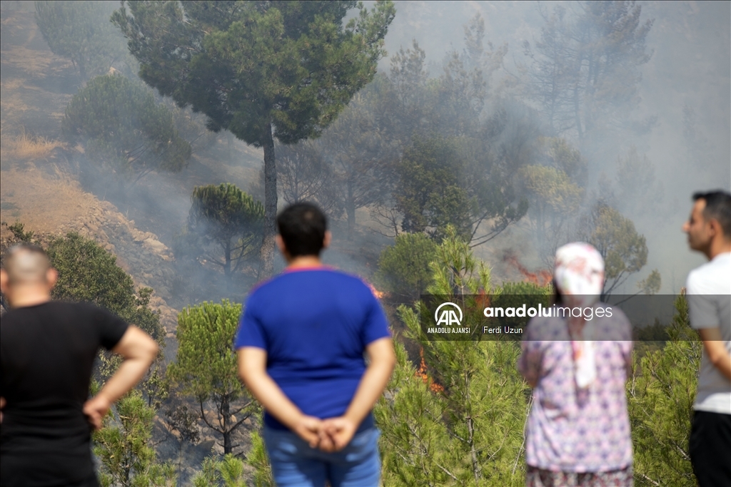 Aydın'daki orman yangınına havadan ve karadan müdahale sürüyor