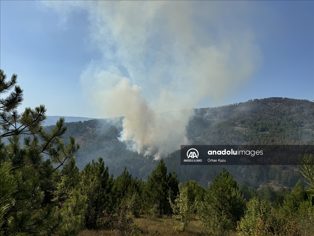 Karabük'te ormanlık alanda çıkan yangına müdahale ediliyor