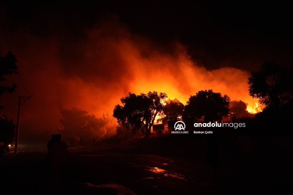İzmir'in Urla ilçesinde çıkan yangına müdahale ediliyor