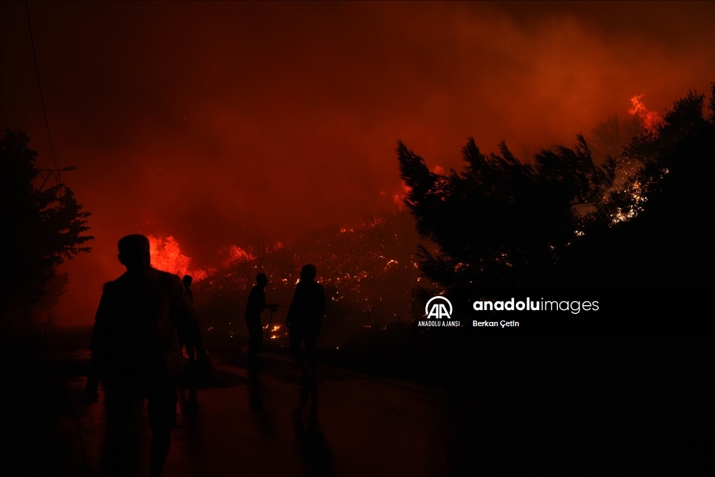 İzmir'in Urla ilçesinde çıkan yangına müdahale ediliyor