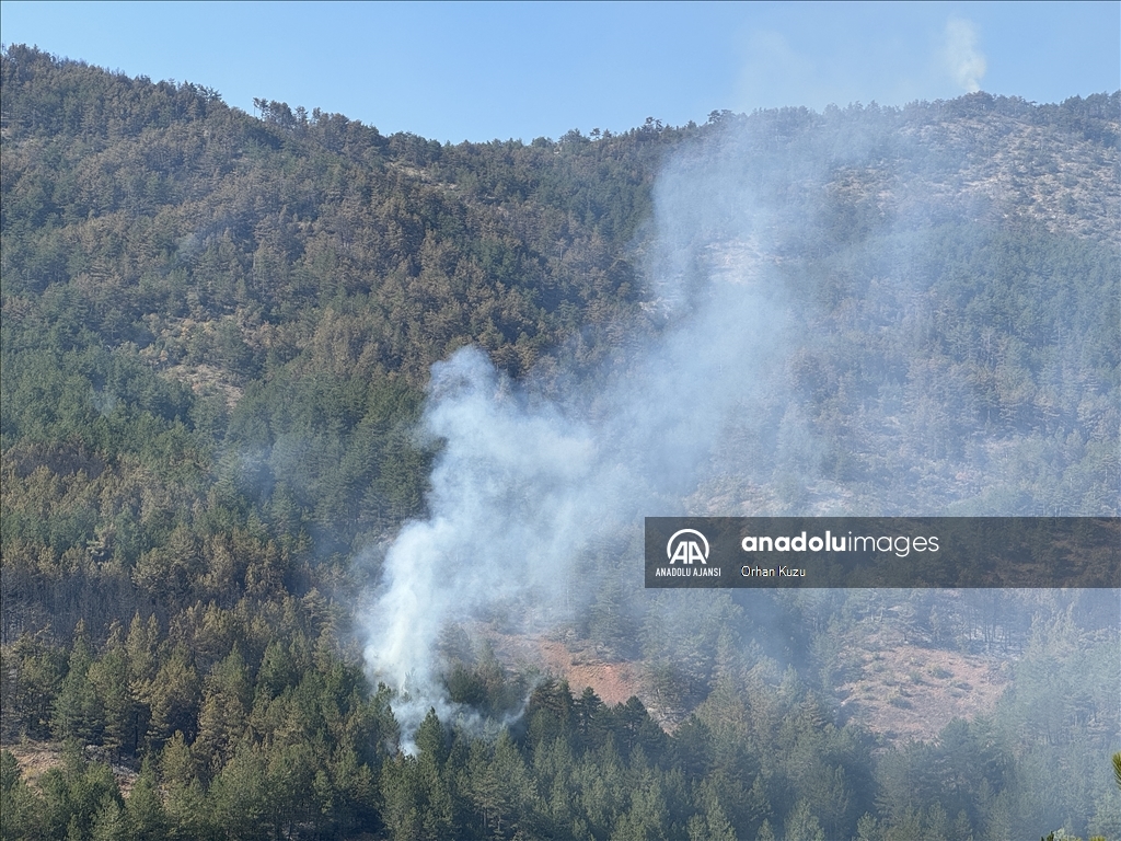 Karabük'te ormanlık alanda çıkan yangına müdahale ediliyor