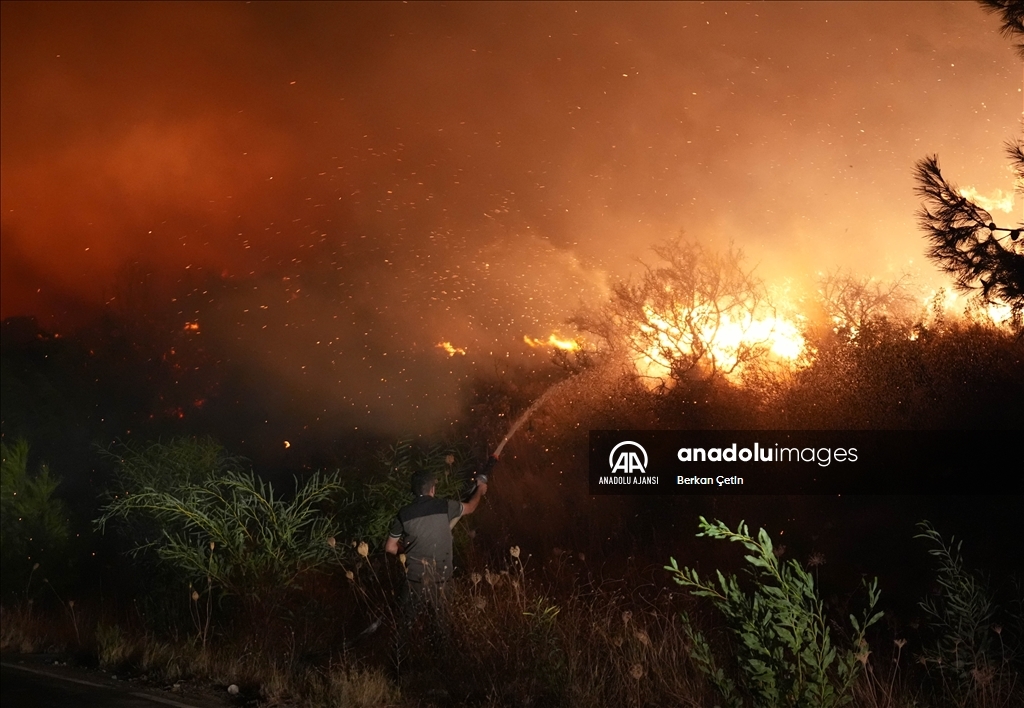 İzmir'in Urla ilçesinde çıkan yangına müdahale ediliyor