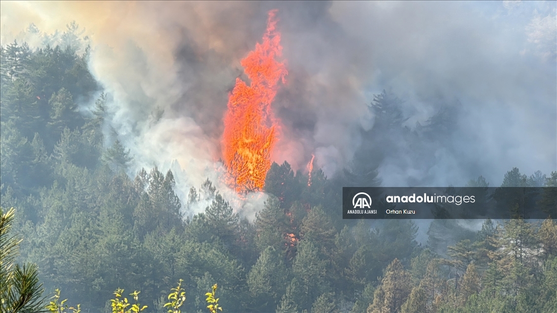 Karabük'te ormanlık alanda çıkan yangına müdahale ediliyor
