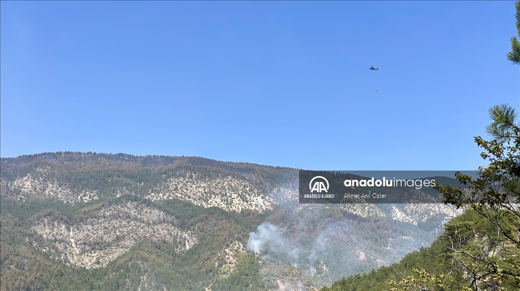 Karabük'te ormanlık alanda çıkan yangına müdahale ediliyor