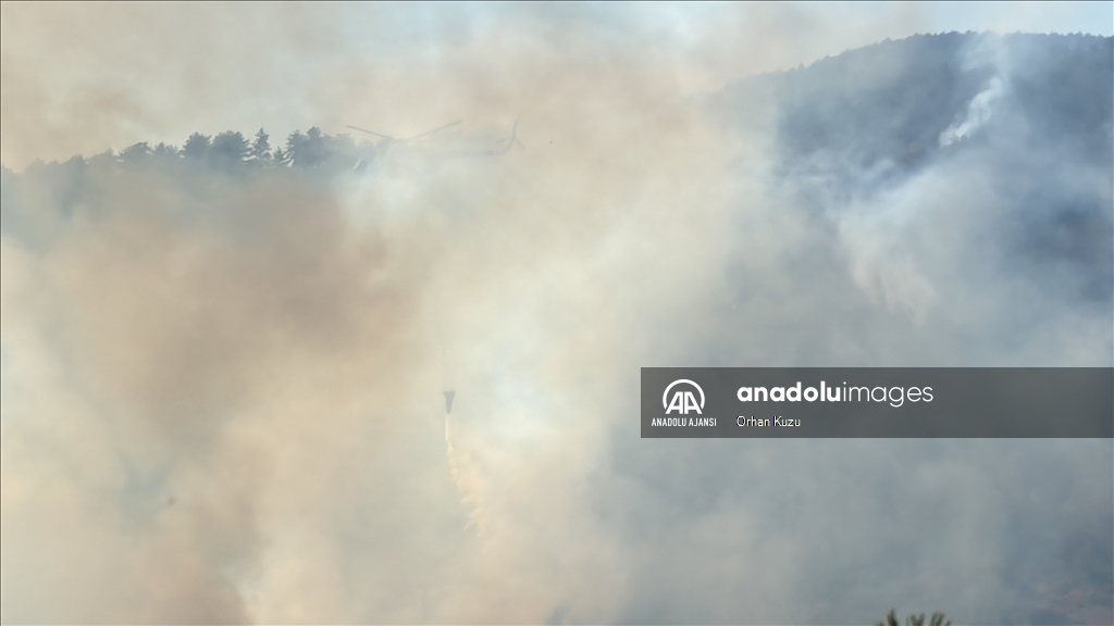 Karabük'te ormanlık alanda çıkan yangına müdahale ediliyor