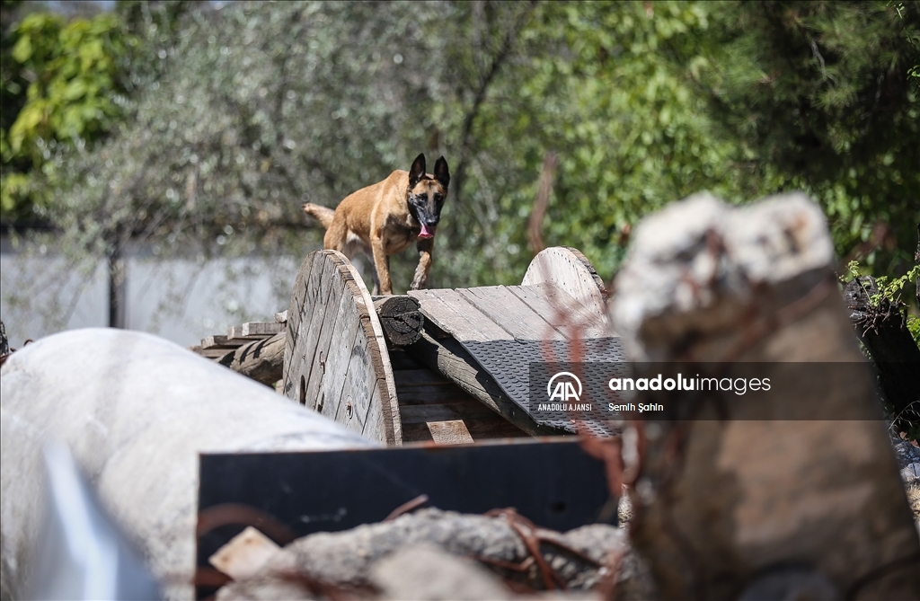 Eğitimli köpeklere entegre edilen uzaktan komuta kontrol sistemi Mehmetçiğin arazideki gözü olacak