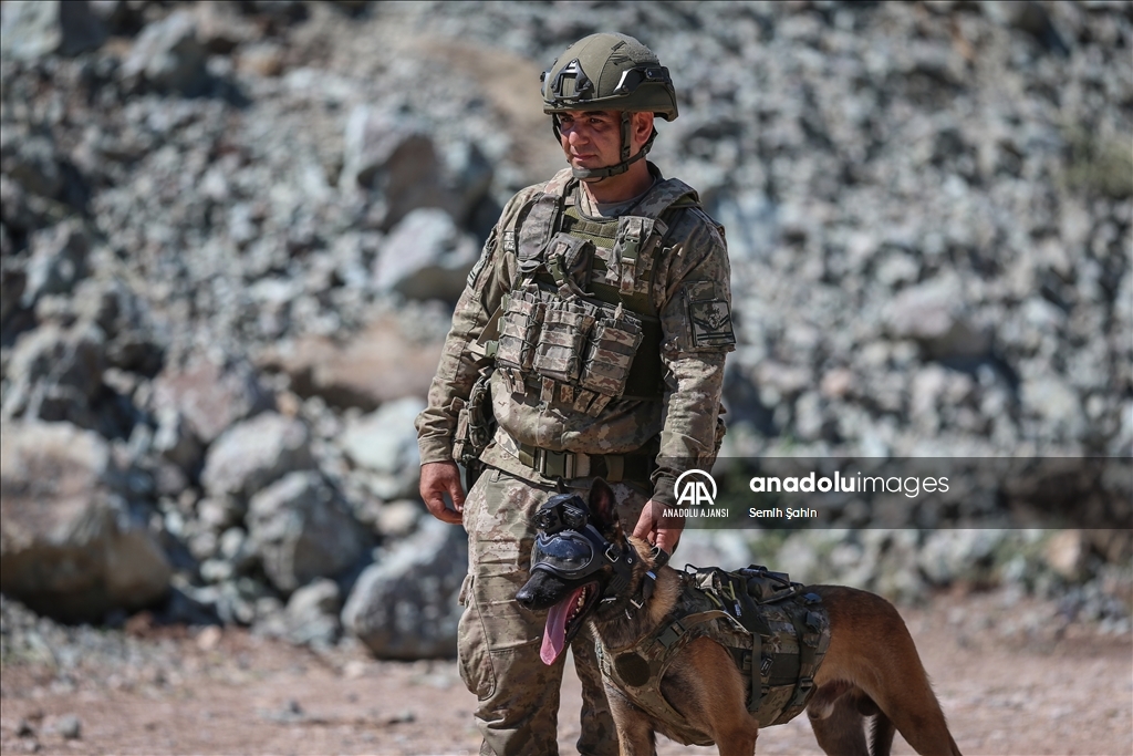 Eğitimli köpeklere entegre edilen uzaktan komuta kontrol sistemi Mehmetçiğin arazideki gözü olacak