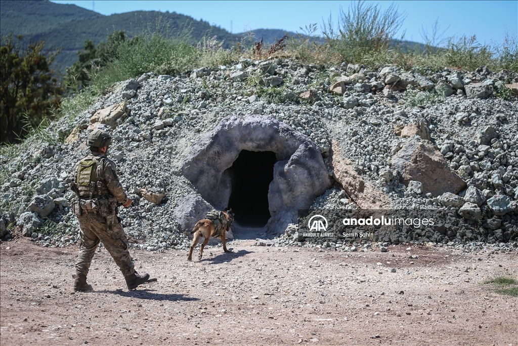 Eğitimli köpeklere entegre edilen uzaktan komuta kontrol sistemi Mehmetçiğin arazideki gözü olacak