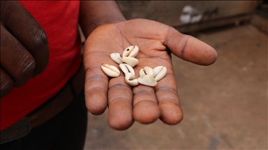 “Cowrie”: First sea shell used as a payment method in Africa