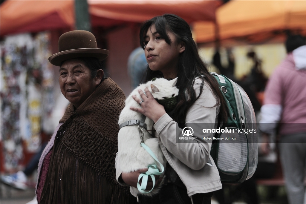 Pedestrian Day in Bolivia