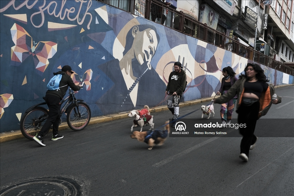 Pedestrian Day in Bolivia