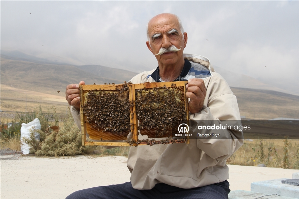 جودة في القمة.. جبل أرجياس وجهة صيفية لمربي النحل بتركيا 