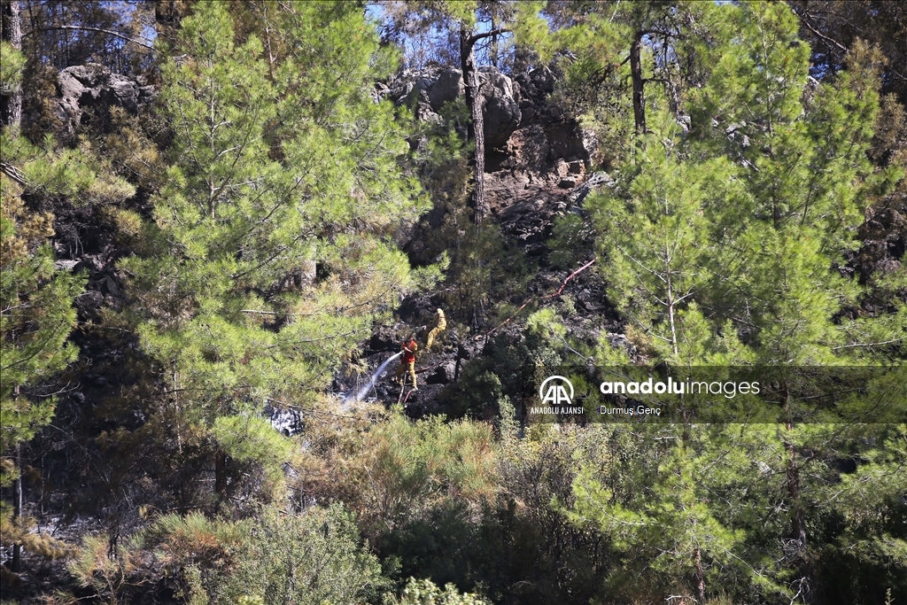 Muğla'da çıkan orman yangınına müdahale devam etti