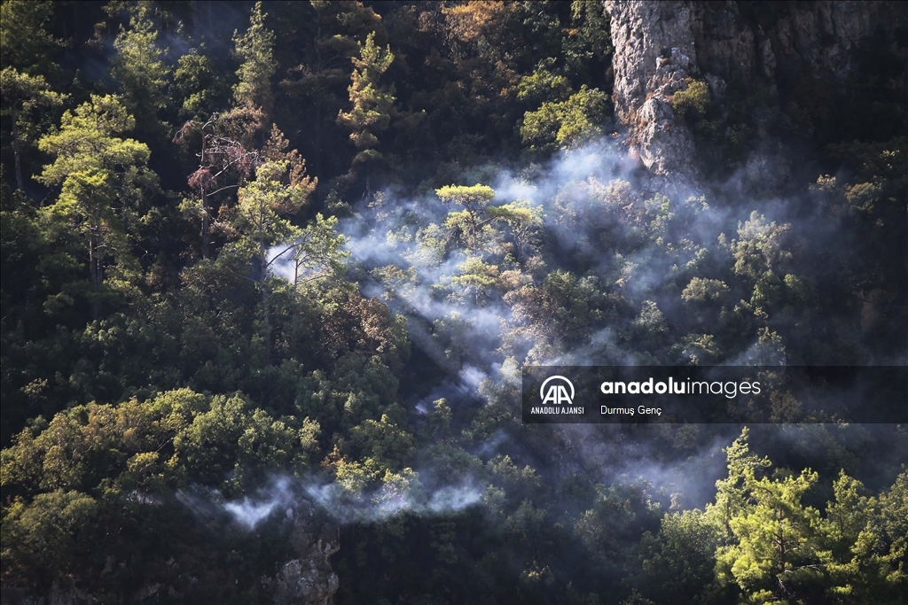 Muğla'da çıkan orman yangınına müdahale devam etti