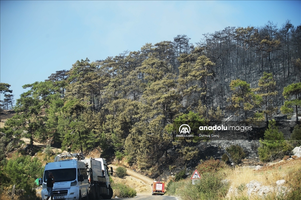 Muğla'da çıkan orman yangınına müdahale devam etti