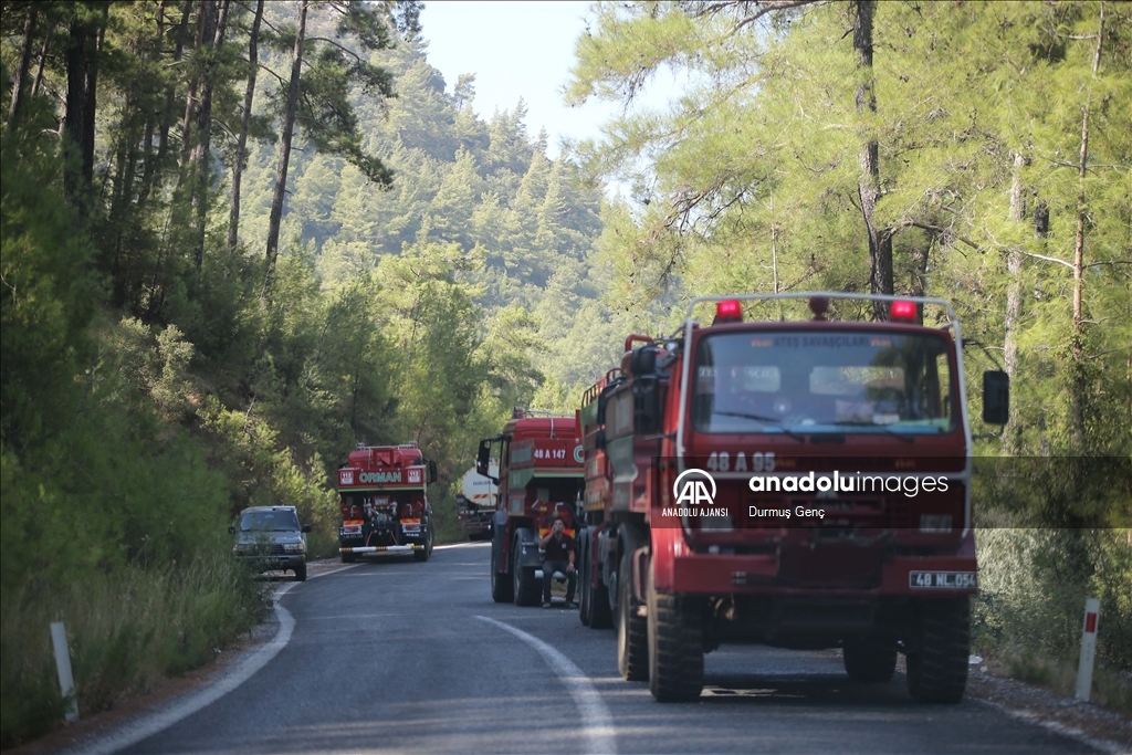 Muğla'da çıkan orman yangınına müdahale devam etti