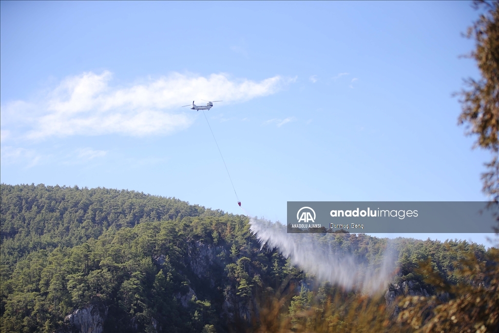 Muğla'da çıkan orman yangınına müdahale devam etti