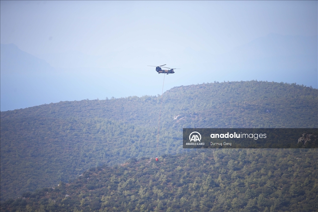 Muğla'da çıkan orman yangınına müdahale devam etti