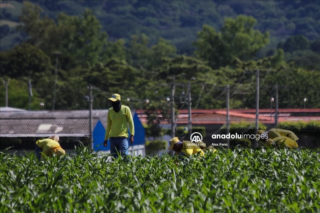 El Salvador'da “La Esperanza” Cezaevi merkezindeki mahkumlar toplumsal çalışma projelerine katılıyor