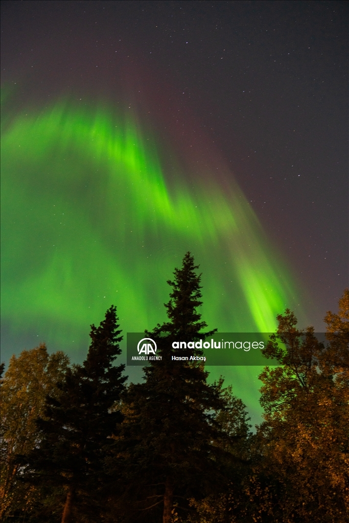 Northern lights in Alaska