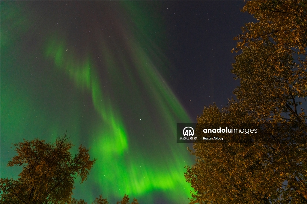 Northern lights in Alaska