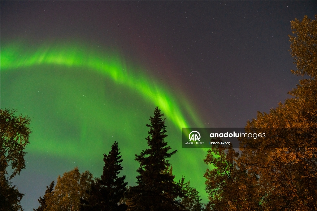 Northern lights in Alaska