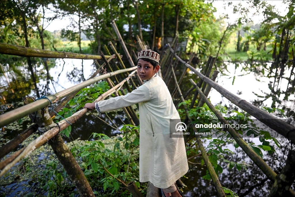 Bangladeş'te 18 Eylül Dünya Bambu Günü  