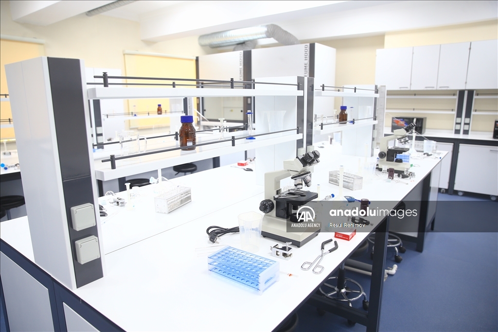 В Турецко-Азербайджанском университете прошли первые занятия