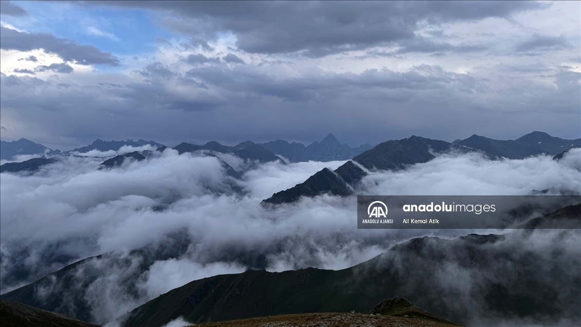 Karadeniz'in bulutların üzerindeki yerleşim yeri: Tahpur Yaylası