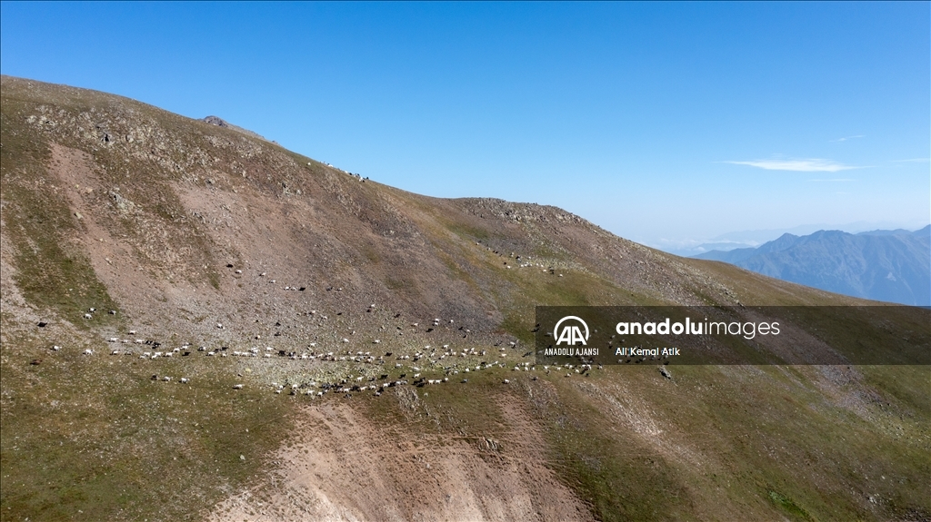 Karadeniz'in bulutların üzerindeki yerleşim yeri: Tahpur Yaylası