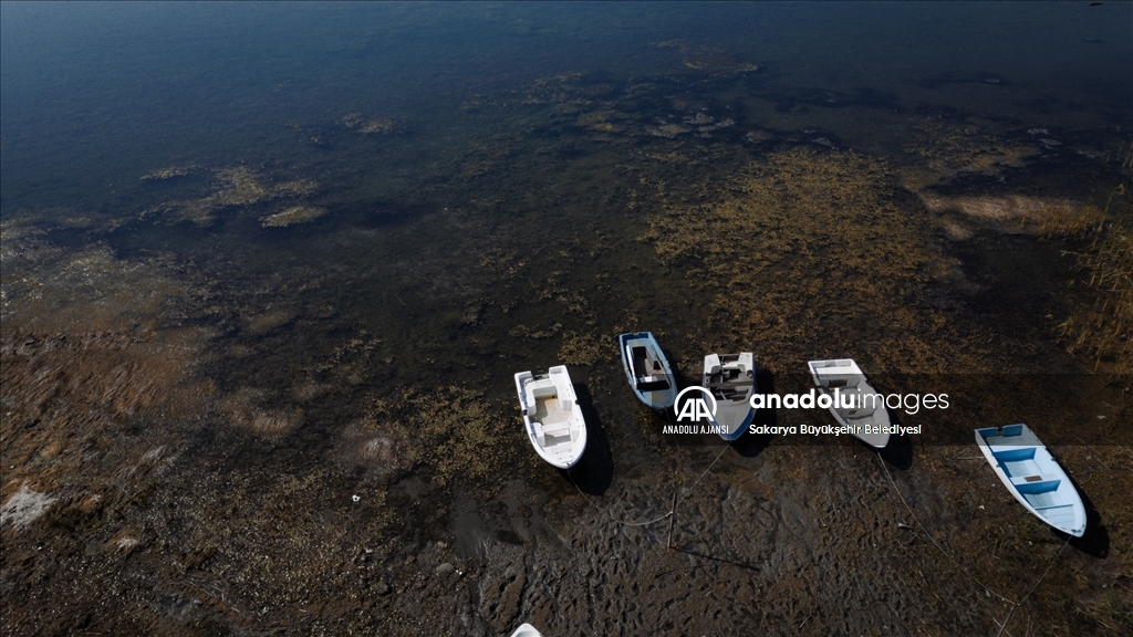 Sapanca Gölü'nde su 17 metre çekildi