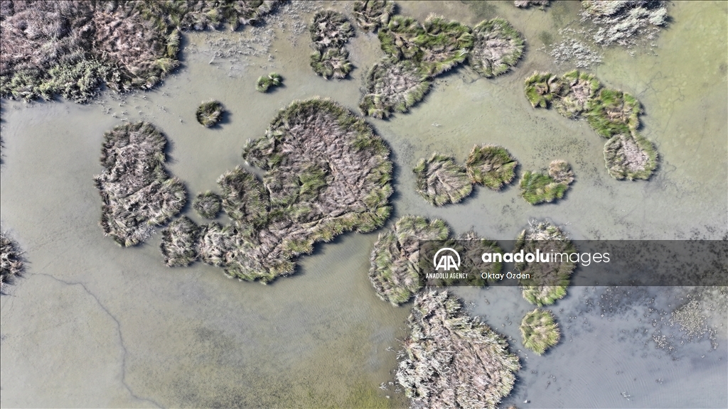 Историческую атмосферу античного порта Андриаке обогатит проект «Наследие для будущего».